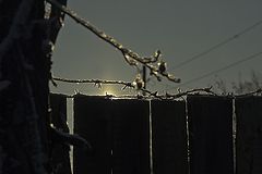 photo "***"