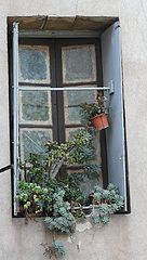 фото "the window"
