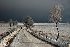 photo "winter"