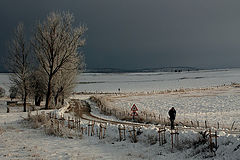 photo "winter 01"