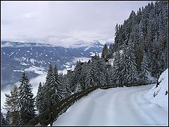 photo "A day after a snowfall"