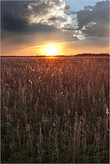 photo "***"