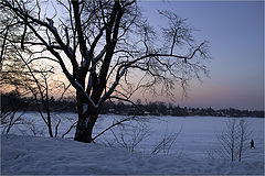 photo "***"
