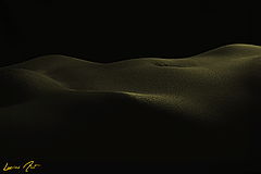 photo "Golden"