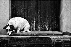 фото "one of my days no"