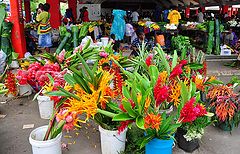 photo "Colours of Vanuatu"