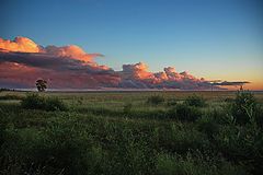 photo "***"