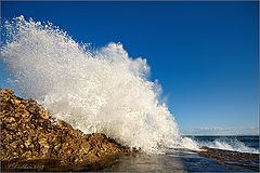 photo "Vientos de febrero"
