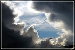 photo "***"