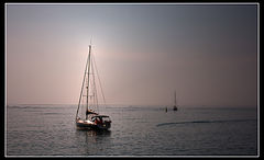 photo "***"