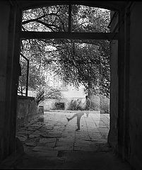 фото "*** ( 3/ 10 )"