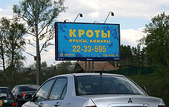 photo "***"