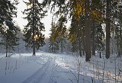 фото "Однажды зимним утром..."