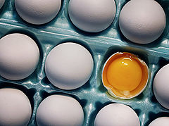 photo "Eggstraordinaire"