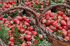 photo "strawberry"
