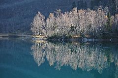 photo "***"