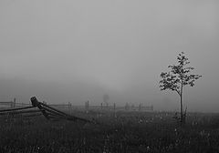 photo "***"