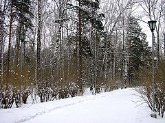 photo "February"