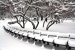 photo "Snowy park"