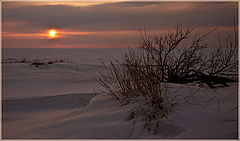 photo "***"