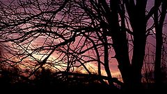 фото "old sun"