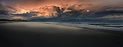 photo "After the Rain....."