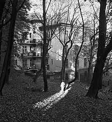фото "*** ( 5/10 )"