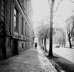 фото "*** ( 6/10 )"