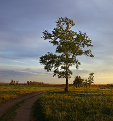 фото "Вечерний этюд"