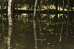 photo "***"
