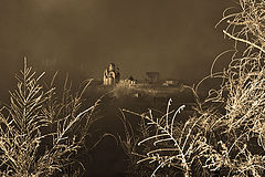 photo "***"