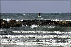 photo "Fishing in stormy weather"