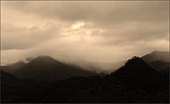 photo "Morning"