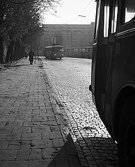 фото "*** ( 9/10 )"