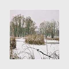 photo "***"