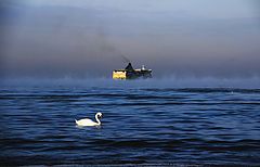 фото "Холодно"