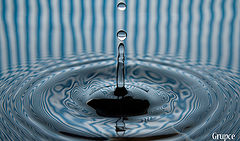 фото "Drop"