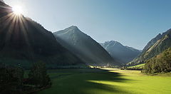 photo "***"