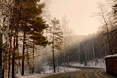 photo "***"