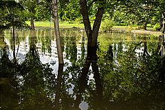 photo "***"