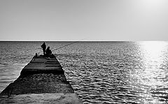 photo "***"