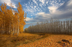 фото "Очей очарованье"