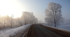 photo "***"