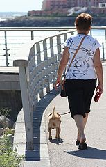фото "the walk"