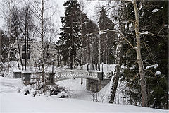 photo "Winter. Almost black and white..."