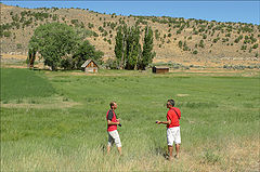 photo "Discussing the composition"