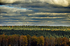 фото "лес @N05"