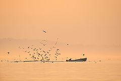 photo "Never Alone"