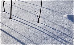 photo "March diagonals"
