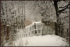 photo "***"